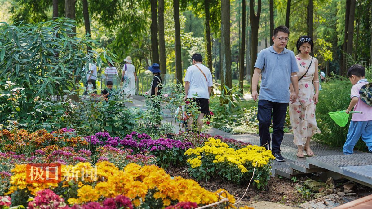 手机现金糖果派对下载